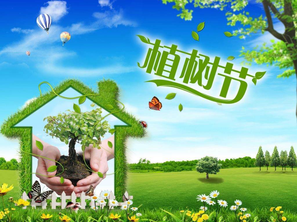 北京現(xiàn)代“智現(xiàn)代，植未來”，你我共建森林邵陽
