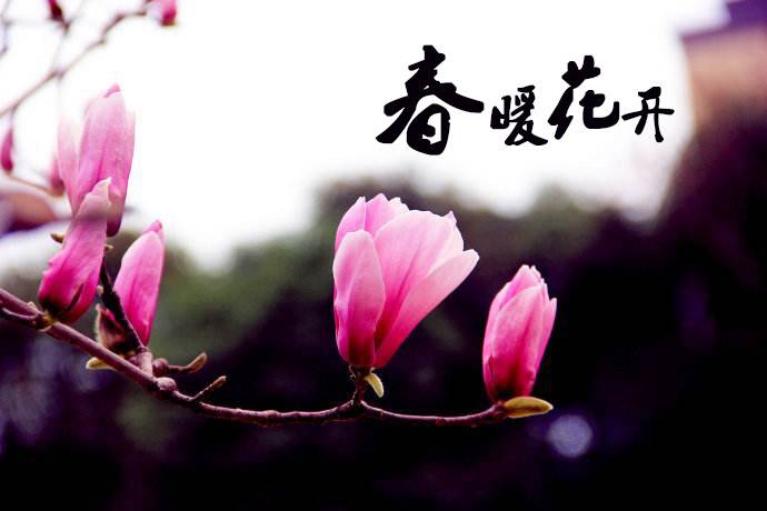春暖花開 教你春季如何做汽車保養(yǎng)！