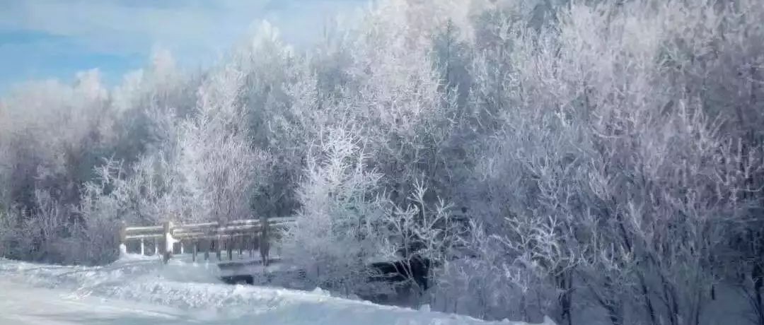 奕行記|奕路向北，駛向雪國阿爾山