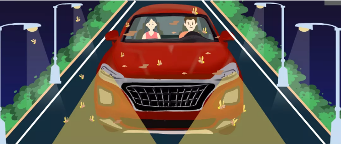 安全清除車身飛蟲，僅需十分鐘